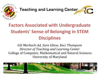 Factors Affecting Undergraduate Students' Sense of Belonging in STEM Disciplines