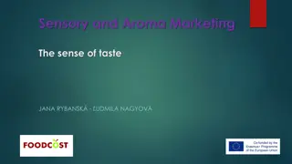 The Physiology of Taste in Sensory and Aroma Marketing