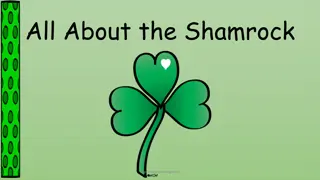 Discovering the Fascinating Shamrock: Facts, Myths, and Growing Tips