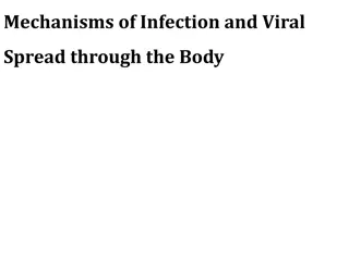 Mechanisms of Viral Infection and Spread