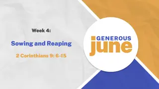 Week 4: Sowing and Reaping Reflections and Prayers