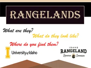 Rangelands: An Overview of Natural Landscapes