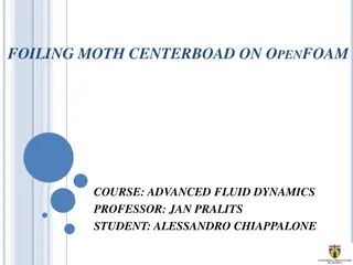 Study of Fluid Dynamics around Moth Centerboard using OpenFOAM: Advanced Course