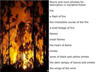 Raging Fire in the Forest: A Narrative Description