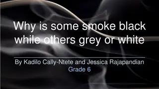 The Differences in Smoke Colors - Exploring the Science behind Black, Grey, and White Smoke