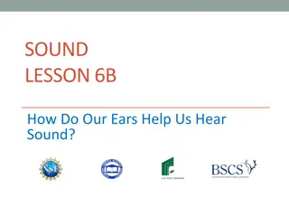 Exploring How Our Ears Help Us Hear Sounds