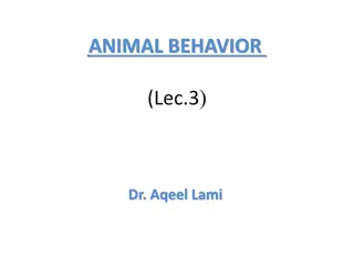 Understanding Animal Behavior: Insights into the Machinery of Behavior