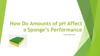 Effect of pH Levels on Sponge Performance Experiment