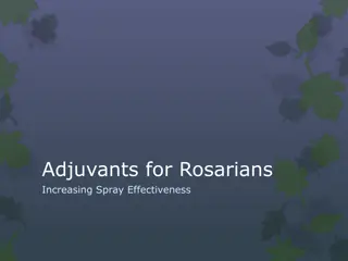 Enhancing Pesticide Spray Effectiveness with Adjuvants for Rosarians