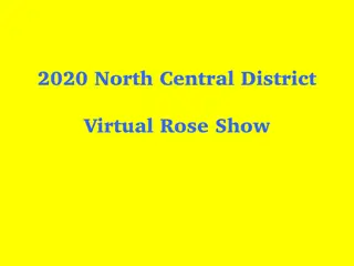 Results of 2020 North Central District Virtual Rose Show