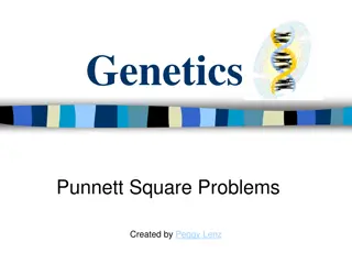 Genetics Punnett Square Problems Explained