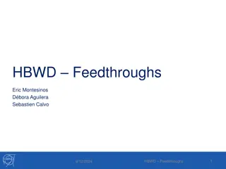 Comprehensive Analysis of HBWD Feedthroughs Project