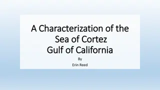 Characterization of the Sea of Cortez: Overview and Analysis by Erin Reed