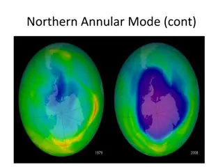 Insights into Northern Annular Mode and Atmospheric Oscillations