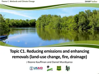 Enhancing Emissions Reduction and Carbon Sequestration in Forests