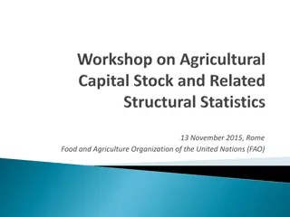 Development of Methodologically Robust Agricultural Capital Stock Statistics by FAO