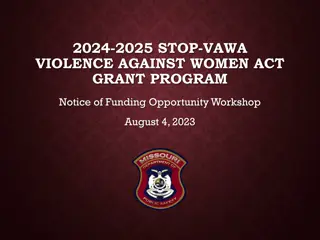 STOP VAWA Grant Program 2024-2025