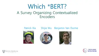 A Comprehensive Overview of BERT and Contextualized Encoders