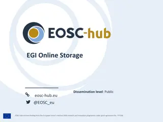 Overview of EGI Online Storage Service Architecture and Interfaces