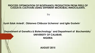 Optimization of Bioethanol Production from Cassava Peels Using Microbial Inoculants