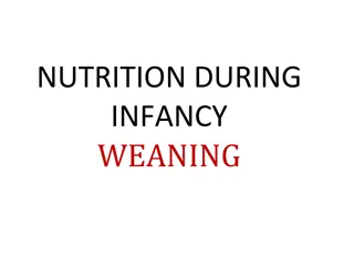 Nutrition Guidelines for Weaning Infants