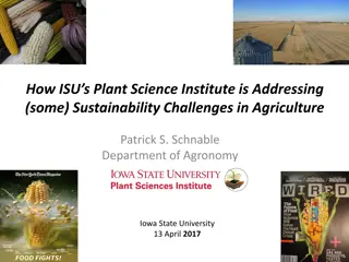 Addressing Sustainability Challenges in Agriculture Through Predictive Phenomics at ISU's Plant Science Institute