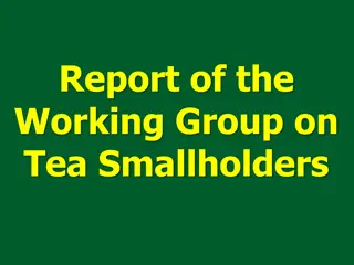 Strengthening Tea Smallholders Sector: Challenges and Solutions