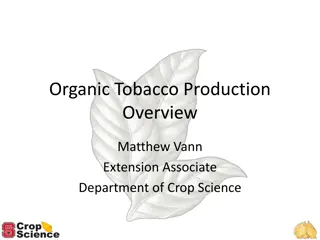 Guide to Organic Tobacco Production Process