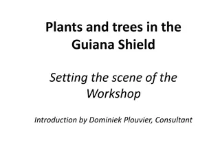 Exploring Plants and Trees in the Guiana Shield Workshop