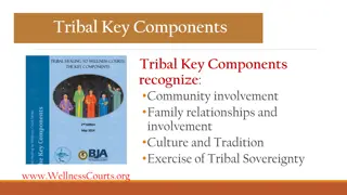 Tribal Wellness Court Key Components and Tips