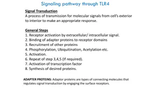 Signaling Pathway Through TLR4: A Molecular Signal Transduction Process