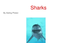 Fascinating World of Sharks: Facts, Movies, and More!