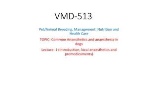 Common Anaesthetics and Anaesthesia in Dogs Overview