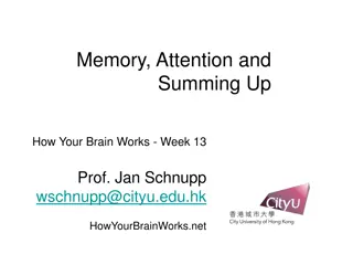 How Your Brain Works: Memory, Attention, and Processing