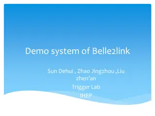 Overview of Belle2Link System