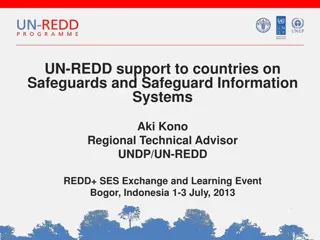 UN-REDD Support on Safeguards and Safeguard Information Systems