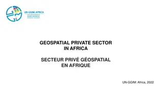 Geospatial Private Sector in Africa: Opportunities and Challenges