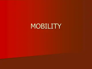 Mobility Challenges Survey Findings