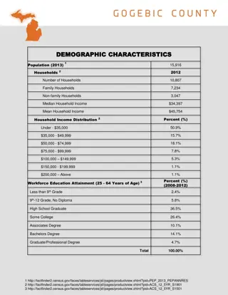 Overview of Demographic and Government Characteristics in Ironwood Area