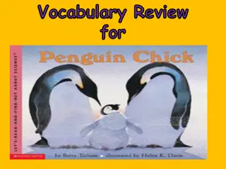 Vocabulary Review for Engaging Learning