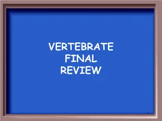 Vertebrates Final Review - Study Guide with Images