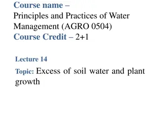 Excess Soil Water and Plant Growth in Water Management