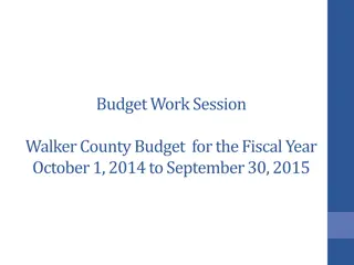 Overview of Walker County Budget for Fiscal Year 2014-2015