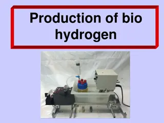 Bio Hydrogen Production Experiment: Materials, Set-Up, and Procedure