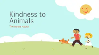 Kindness towards Animals in Islamic Teachings