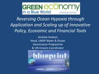 Addressing Ocean Hypoxia Through Innovative Solutions