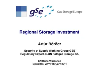 Gas Storage Investment Workshop Insights