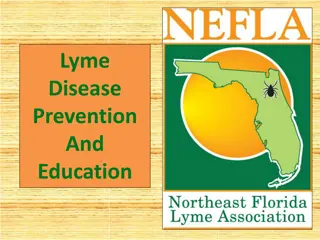 Comprehensive Guide to Lyme Disease: Prevention, Transmission, Symptoms, and Treatment