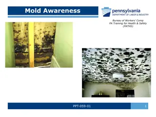 Mold Awareness and Health Risks