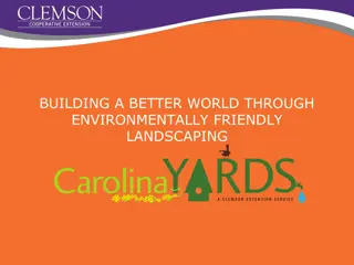 Creating a Sustainable Landscape with Carolina Yards